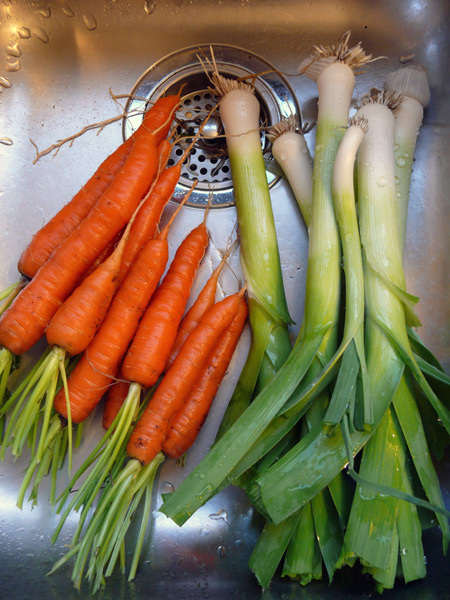 Carrots-and-leeks