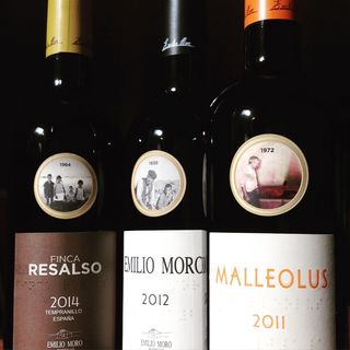 Emilio Moro Wines