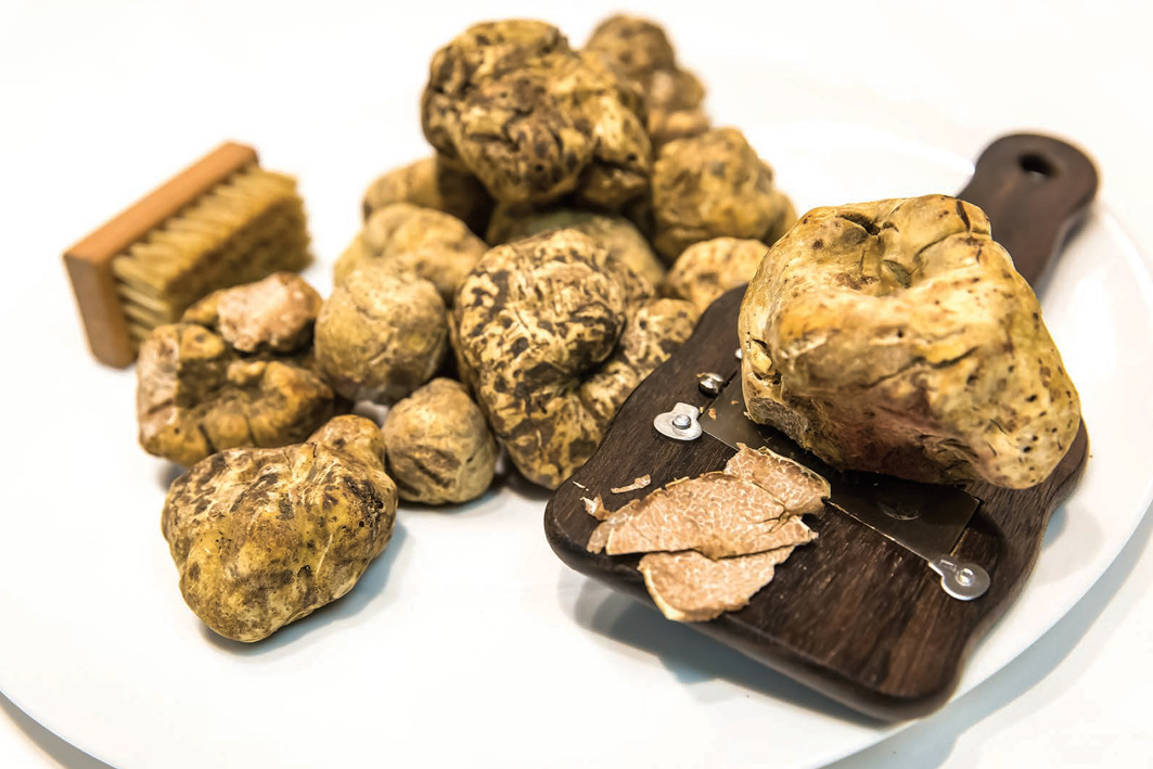 White truffle – credit Mona Shield Payne